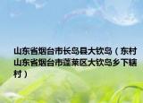 山東省煙臺市長島縣大欽島（東村 山東省煙臺市蓬萊區(qū)大欽島鄉(xiāng)下轄村）