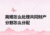 離婚怎么處理共同財(cái)產(chǎn)分割怎么分配