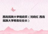 西南民族大學(xué)楊曉農(nóng)（劉曉紅 西南民族大學(xué)教務(wù)處處長(zhǎng)）