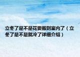 立冬了是不是花要搬到室內(nèi)了（立冬了是不是就冷了詳細(xì)介紹）