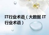 IT行業(yè)術語（大數(shù)據(jù) IT行業(yè)術語）