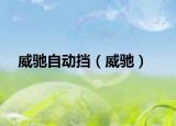 威馳自動(dòng)擋（威馳）