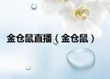 金倉鼠直播（金倉鼠）