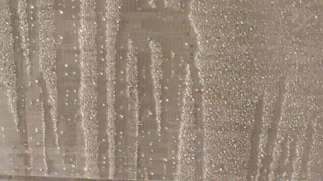 有一種“濕”叫回南天！7個器官比你更怕濕……