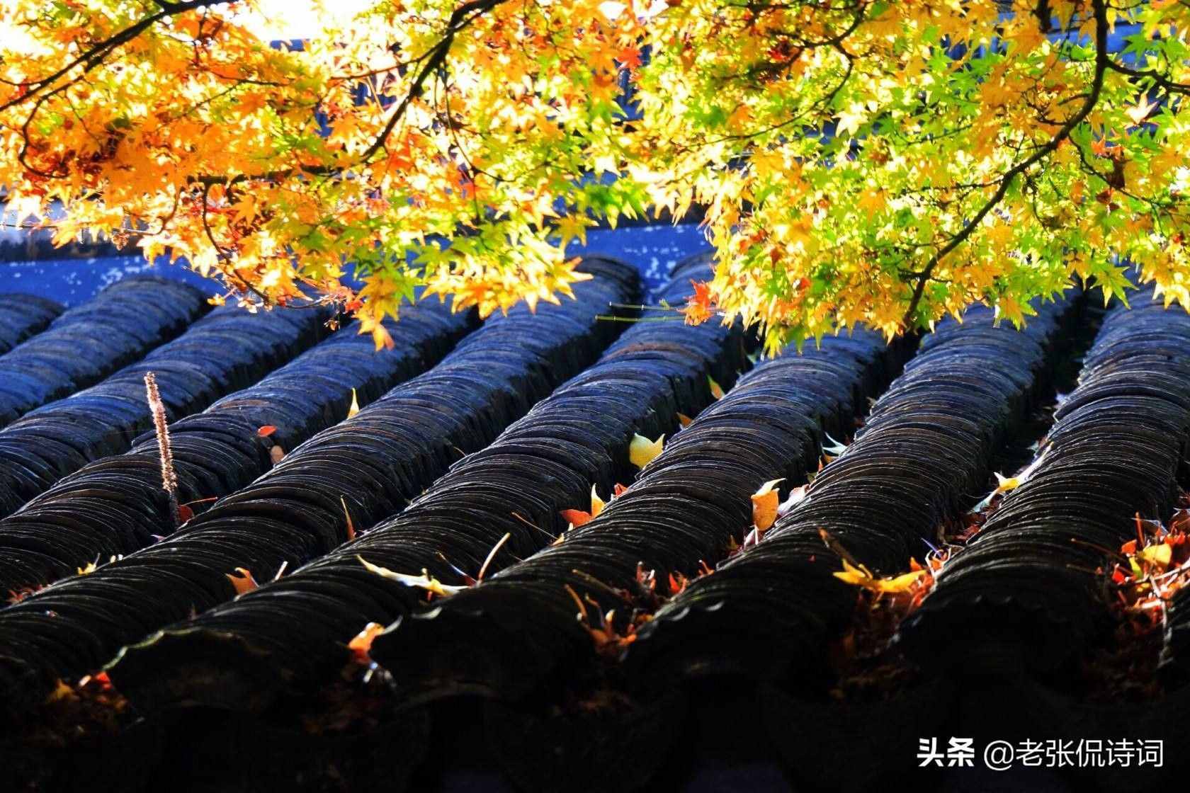 什么是“世態(tài)炎涼”？什么是“金錢至上”？這首唐詩說得明白