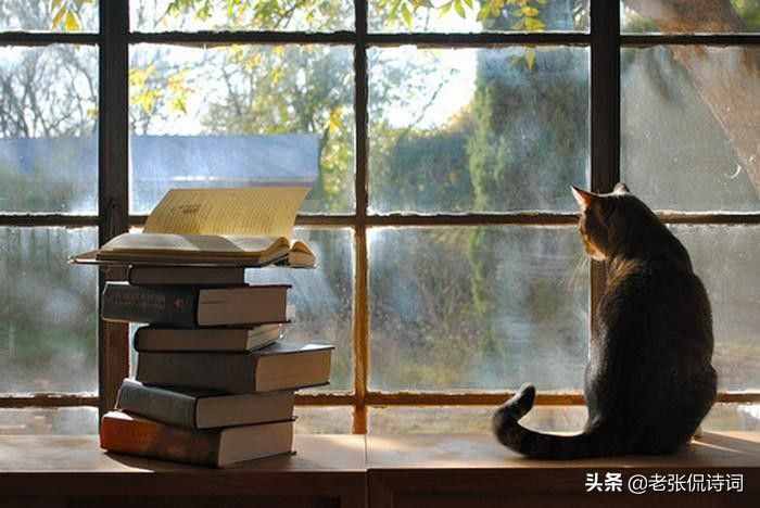 什么是“世態(tài)炎涼”？什么是“金錢至上”？這首唐詩說得明白