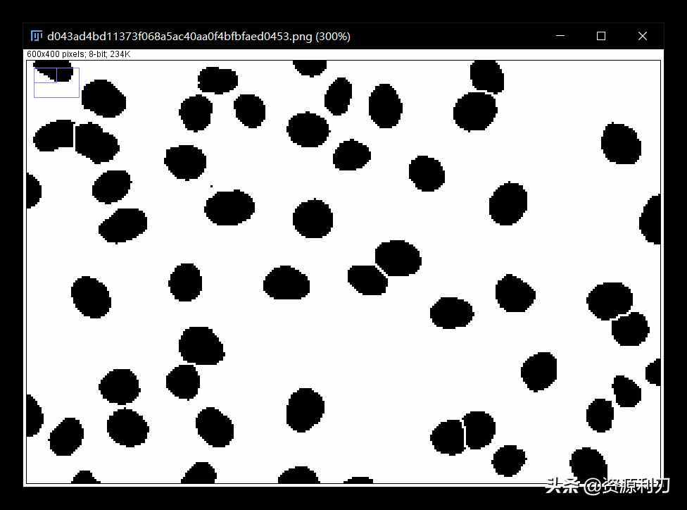 ImageJ使用教程之自動細胞計數篇