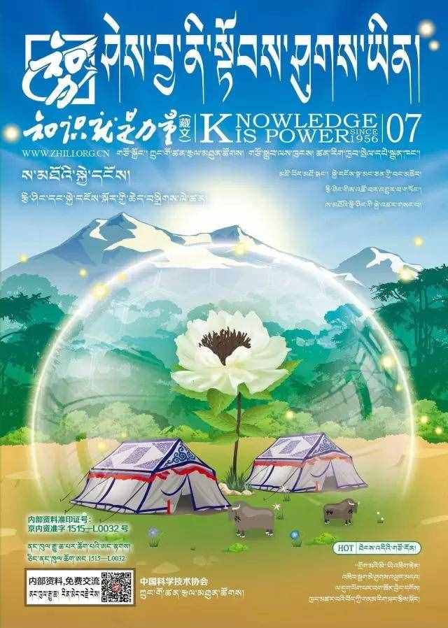 如何鑒別冬蟲夏草的真假？