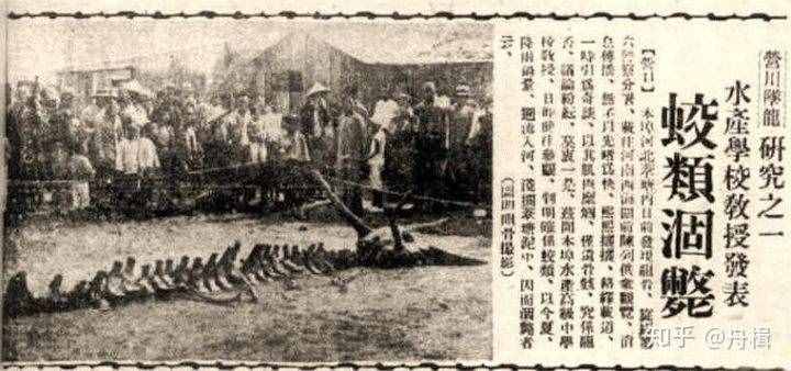 龍是真實存在的嗎，還是古人虛構的，1934的營口墜龍事件是真是假？