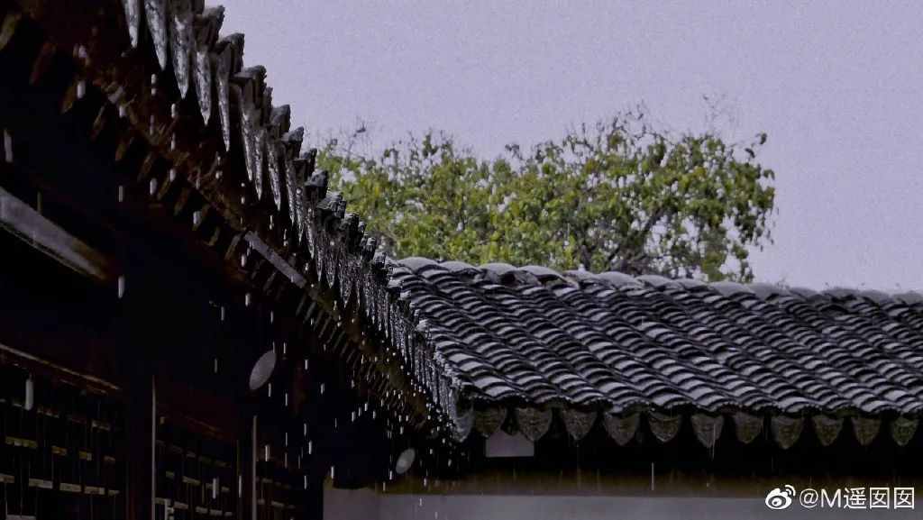 蘇州遇上“早黃梅”？官方回復(fù)來了！