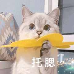 蘇州遇上“早黃梅”？官方回復(fù)來了！