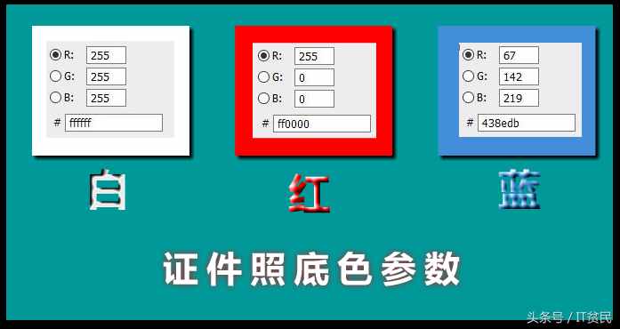 證件照的具體尺寸和顏色你知道嗎？