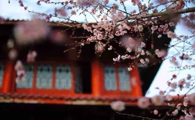 “七情六欲”是哪七情、哪六欲？