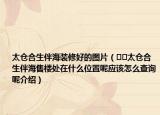 太倉(cāng)合生伴海裝修好的圖片（??太倉(cāng)合生伴海售樓處在什么位置呢應(yīng)該怎么查詢呢介紹）