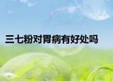 三七粉對(duì)胃病有好處嗎
