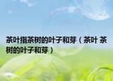 茶葉指茶樹的葉子和芽（茶葉 茶樹的葉子和芽）