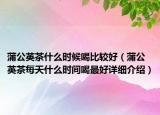 蒲公英茶什么時(shí)候喝比較好（蒲公英茶每天什么時(shí)間喝最好詳細(xì)介紹）