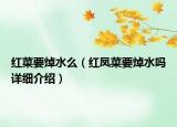 紅菜要焯水么（紅鳳菜要焯水嗎詳細(xì)介紹）