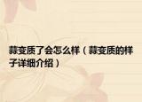 蒜變質(zhì)了會怎么樣（蒜變質(zhì)的樣子詳細介紹）