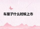 車(chē)?yán)遄邮裁磿r(shí)候上市