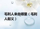 毛利人來自哪里（毛利人起義）