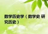 數(shù)學歷史學（數(shù)學史 研究歷史）