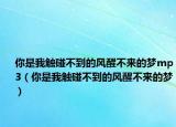 你是我觸碰不到的風(fēng)醒不來的夢(mèng)mp3（你是我觸碰不到的風(fēng)醒不來的夢(mèng)）