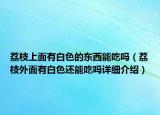 荔枝上面有白色的東西能吃嗎（荔枝外面有白色還能吃嗎詳細(xì)介紹）