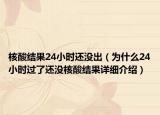 核酸結(jié)果24小時還沒出（為什么24小時過了還沒核酸結(jié)果詳細(xì)介紹）