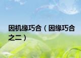 因機(jī)緣巧合（因緣巧合之二）