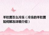 羊肚菌怎么冷凍（冷凍的羊肚菌如何解凍詳細(xì)介紹）