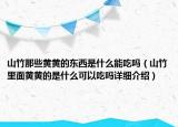 山竹那些黃黃的東西是什么能吃嗎（山竹里面黃黃的是什么可以吃嗎詳細(xì)介紹）