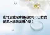 山竹皮能泡水做花肥嗎（山竹皮能泡水喝嗎詳細(xì)介紹）