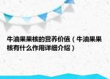 牛油果果核的營養(yǎng)價值（牛油果果核有什么作用詳細介紹）
