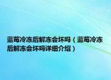 藍(lán)莓冷凍后解凍會(huì)壞嗎（藍(lán)莓冷凍后解凍會(huì)壞嗎詳細(xì)介紹）