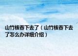 山竹核吞下去了（山竹核吞下去了怎么辦詳細(xì)介紹）