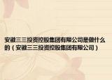 安徽三三投資控股集團有限公司是做什么的（安徽三三投資控股集團有限公司）