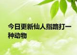 今日更新仙人指路打一種動物