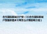 合生國(guó)際新城小戶型（??合生國(guó)際新城戶型面積是多大呢怎么計(jì)算的呢介紹）