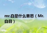 mr.白是什么意思（Mr.白目）