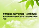 東莞市南城辦理房產(chǎn)證在哪里（??東莞市江南第一城房子辦理房產(chǎn)證流程是怎樣的誰能說說呢介紹）