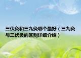 三伏灸和三九灸哪個(gè)最好（三九灸與三伏灸的區(qū)別詳細(xì)介紹）