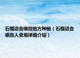 石榴適合哪些地方種植（石榴適合哪些人食用詳細介紹）