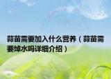 蒜苗需要加入什么營養(yǎng)（蒜苗需要焯水嗎詳細(xì)介紹）