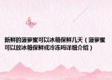 新鮮的菠蘿蜜可以冰箱保鮮幾天（菠蘿蜜可以放冰箱保鮮或冷凍嗎詳細介紹）