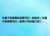 車?yán)遄雍筒葺退{(lán)莓可以一起吃嗎（車?yán)遄雍筒葺梢砸黄鹫ブ瓎嵩敿?xì)介紹）