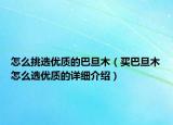 怎么挑選優(yōu)質(zhì)的巴旦木（買巴旦木怎么選優(yōu)質(zhì)的詳細介紹）
