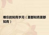 難忘的知青歲月（夏都知青夏都知青）