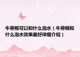 牛蒡根可以和什么泡水（牛蒡根和什么泡水效果最好詳細介紹）