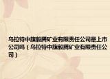 烏拉特中旗毅騰礦業(yè)有限責任公司是上市公司嗎（烏拉特中旗毅騰礦業(yè)有限責任公司）